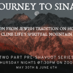 Journey to Sinai